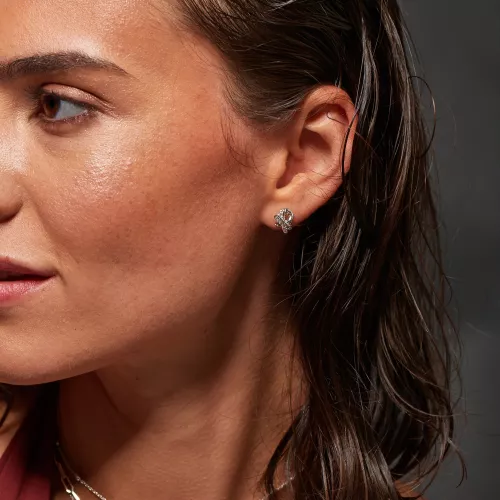 Obrázek č. 1 k produktu: Stříbrné náušnice Hot Diamonds Aurora DE858