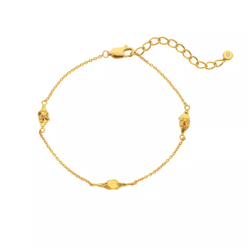 Obrázek č. 3 k produktu: Pozlacený stříbrný náramek HD x Golden Edit Muse DL711