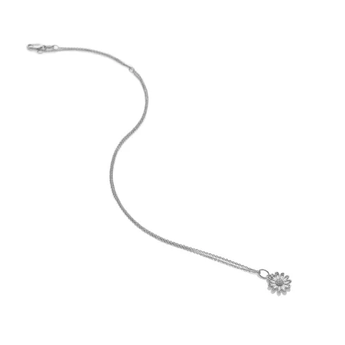 Další obrázek SWP012